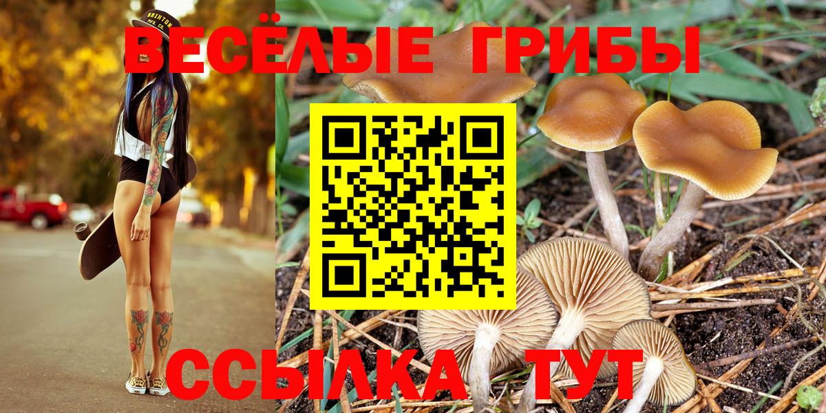Галлюциногенные грибы мухоморы  Вход с VPN  Сатка 